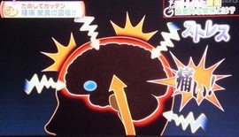 脳・ストレス